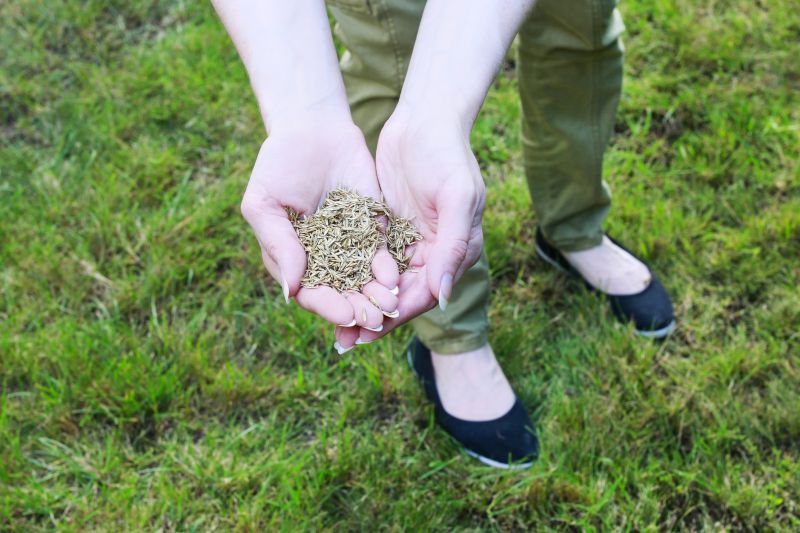 Summer Stress Effects