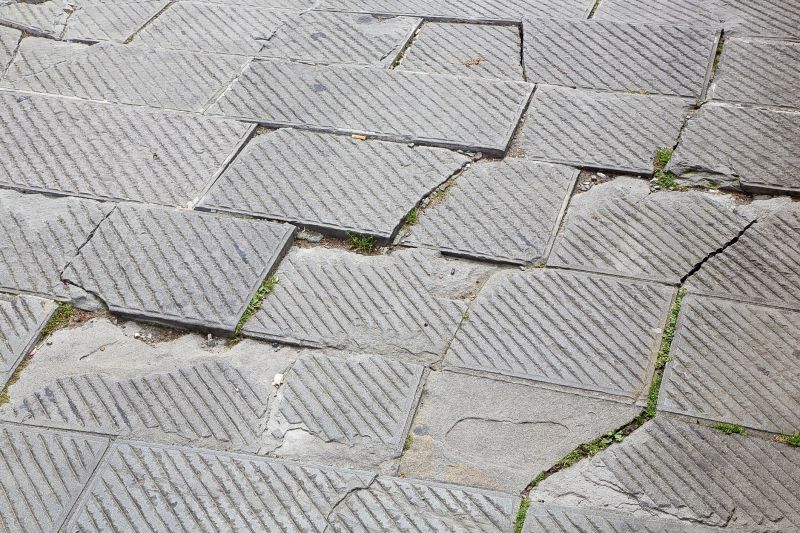 Top Rated Products for Grass Repair